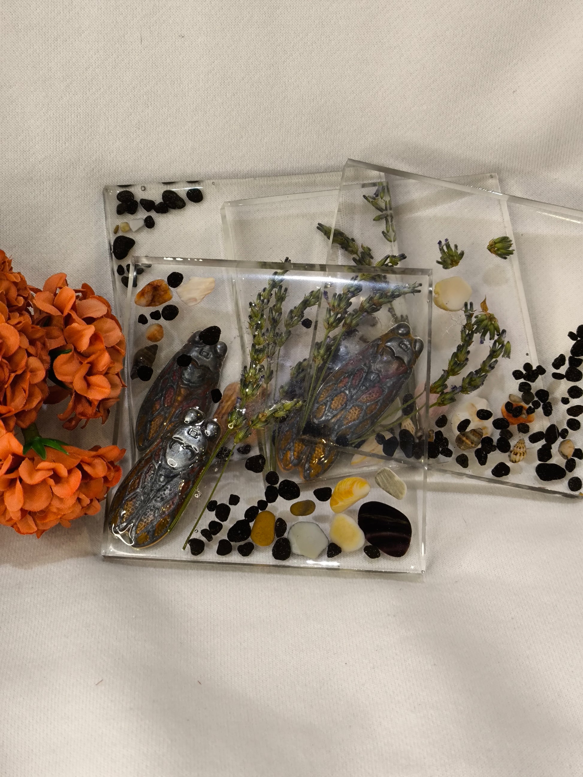 Dessous de verre cigales - L'art à part